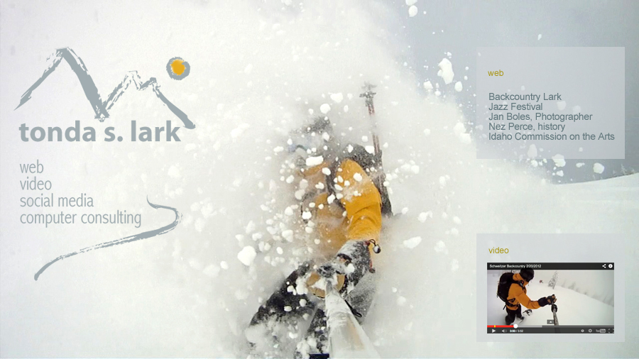 Tonda Lark Web Video Social Media Computer Consulting